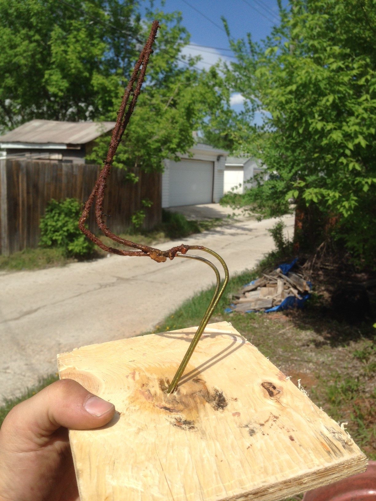 After pulling the hanger out. If you are using this method you have to sand the top coat off the hanger where the positive charge connects and the area that will be immersed in the tank.