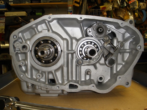 P8010768 - Copy.JPG