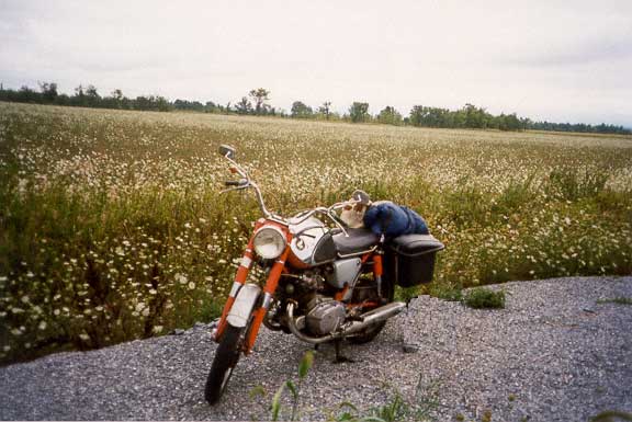 Vermont  -  August, 1999
